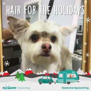 Fundraising Page: Sidney Tomberlin